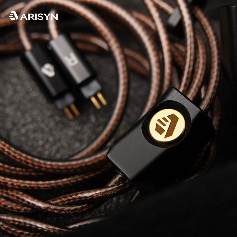 新発売のARISYN HUO SHU CUイヤホン。10mm - Headphones のレビューと価格